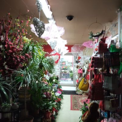 fleuriste milleflor vailly sur aisne
