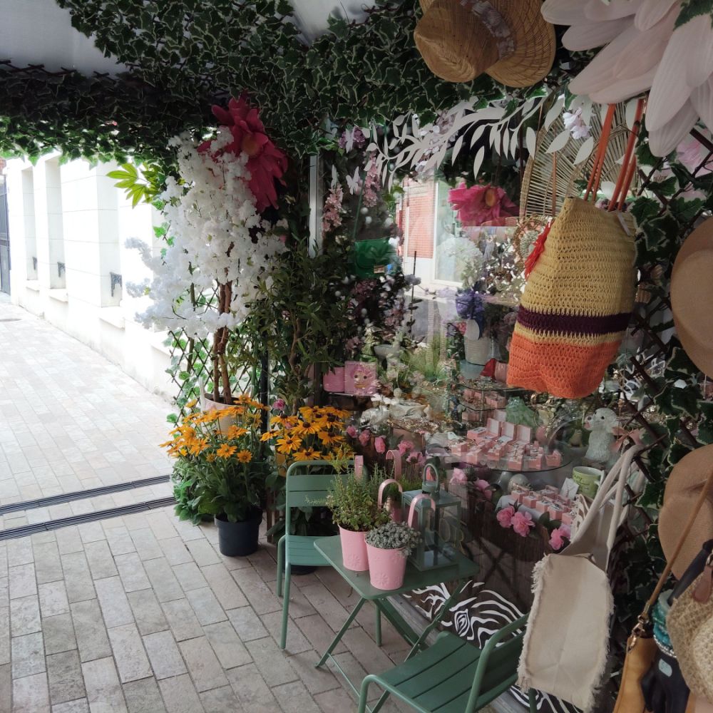 fleuriste milleflor vailly sur aisne