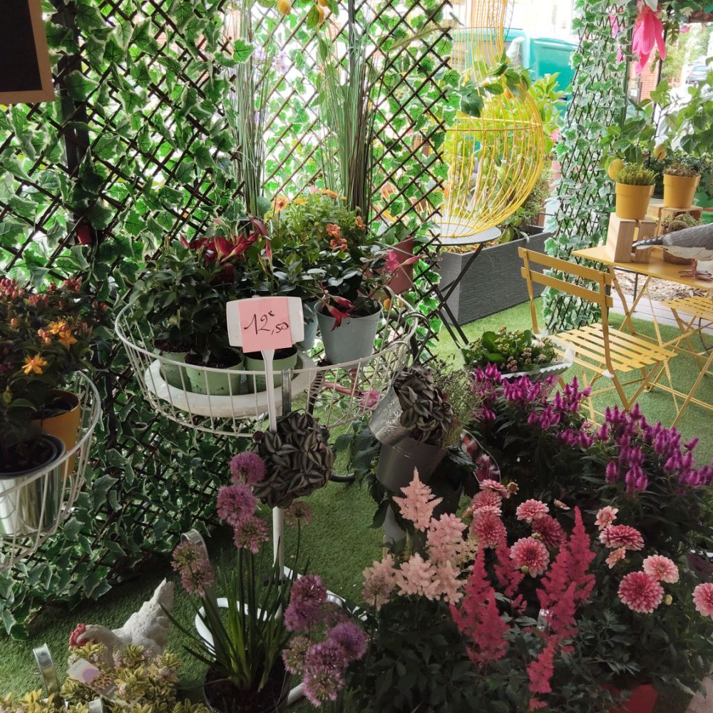 fleuriste milleflor vailly sur aisne