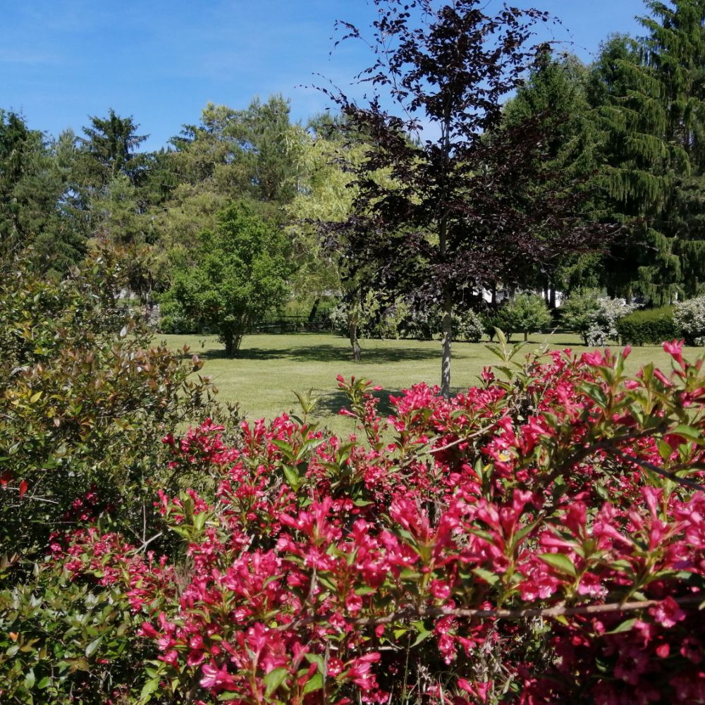 camping domaine de la nature vailly sur aisne