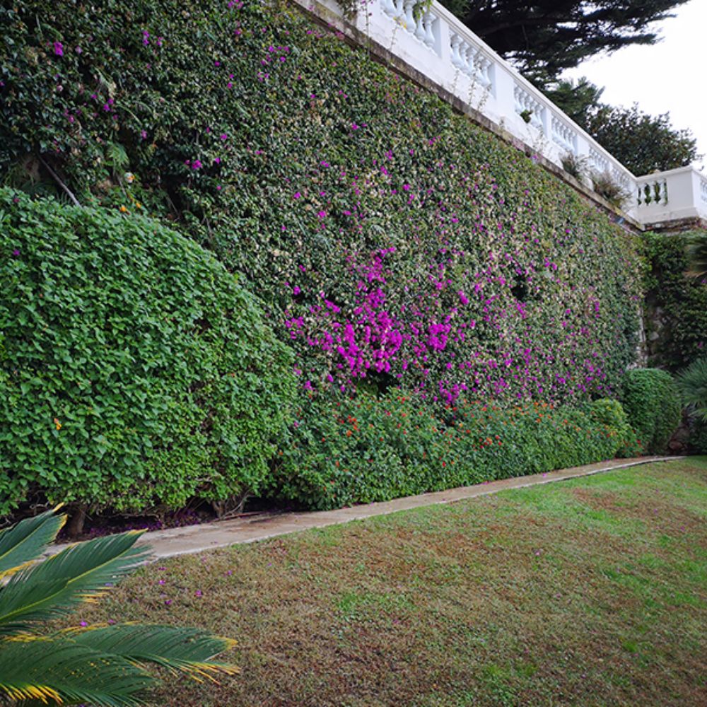 jardins du ru preux vailly sur aisne