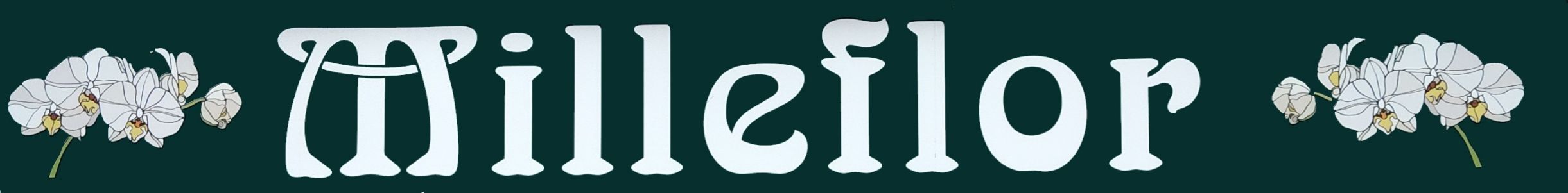 fleuriste milleflor vailly sur aisne