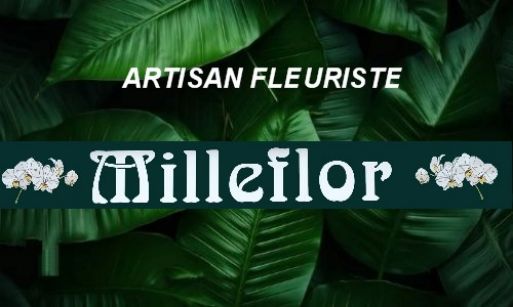 milleflor vailly sur aisne